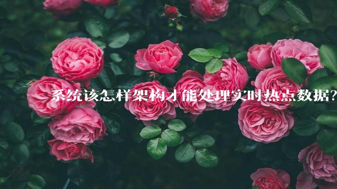 系统该怎样架构才能处理实时热点数据？