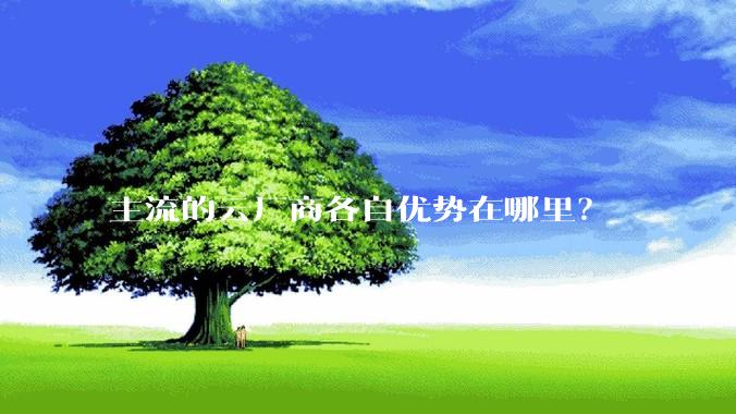 主流的云厂商各自优势在哪里？